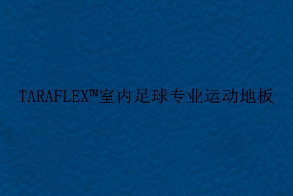 室内足球专业运动地板