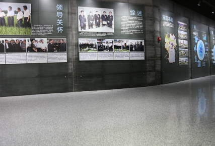 如何选择适合的塑胶地板类型？