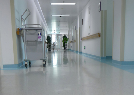 1774667192442277.png 1.png